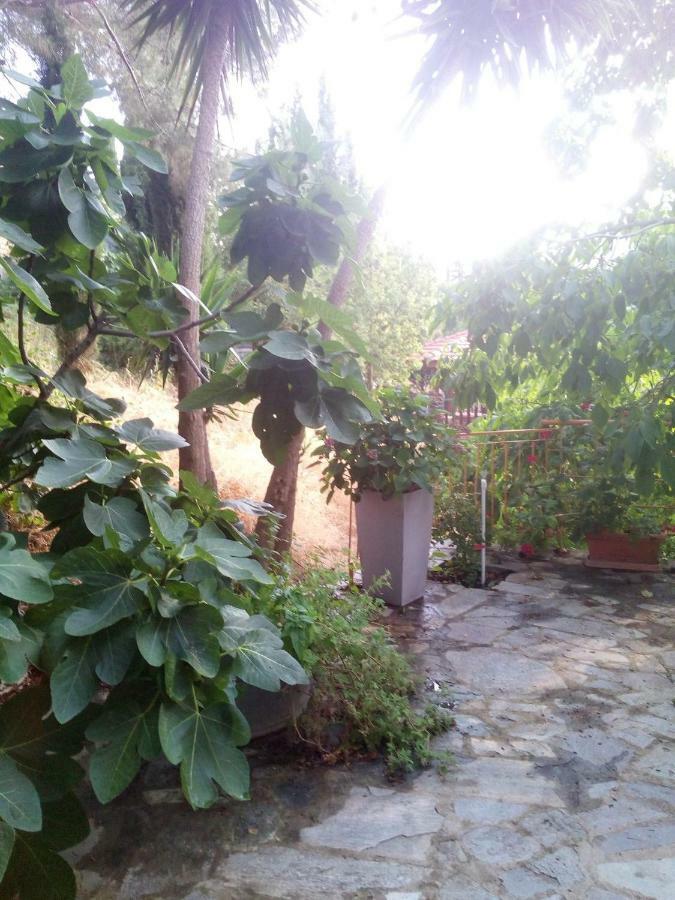 Kampi Double Storey House In The Village Nikosia Exterior foto